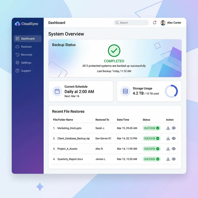 xero backup dashboard